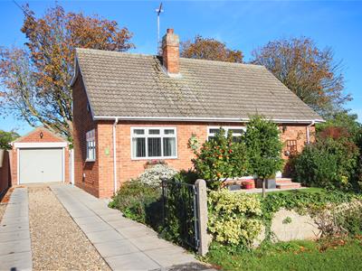 Picture 23